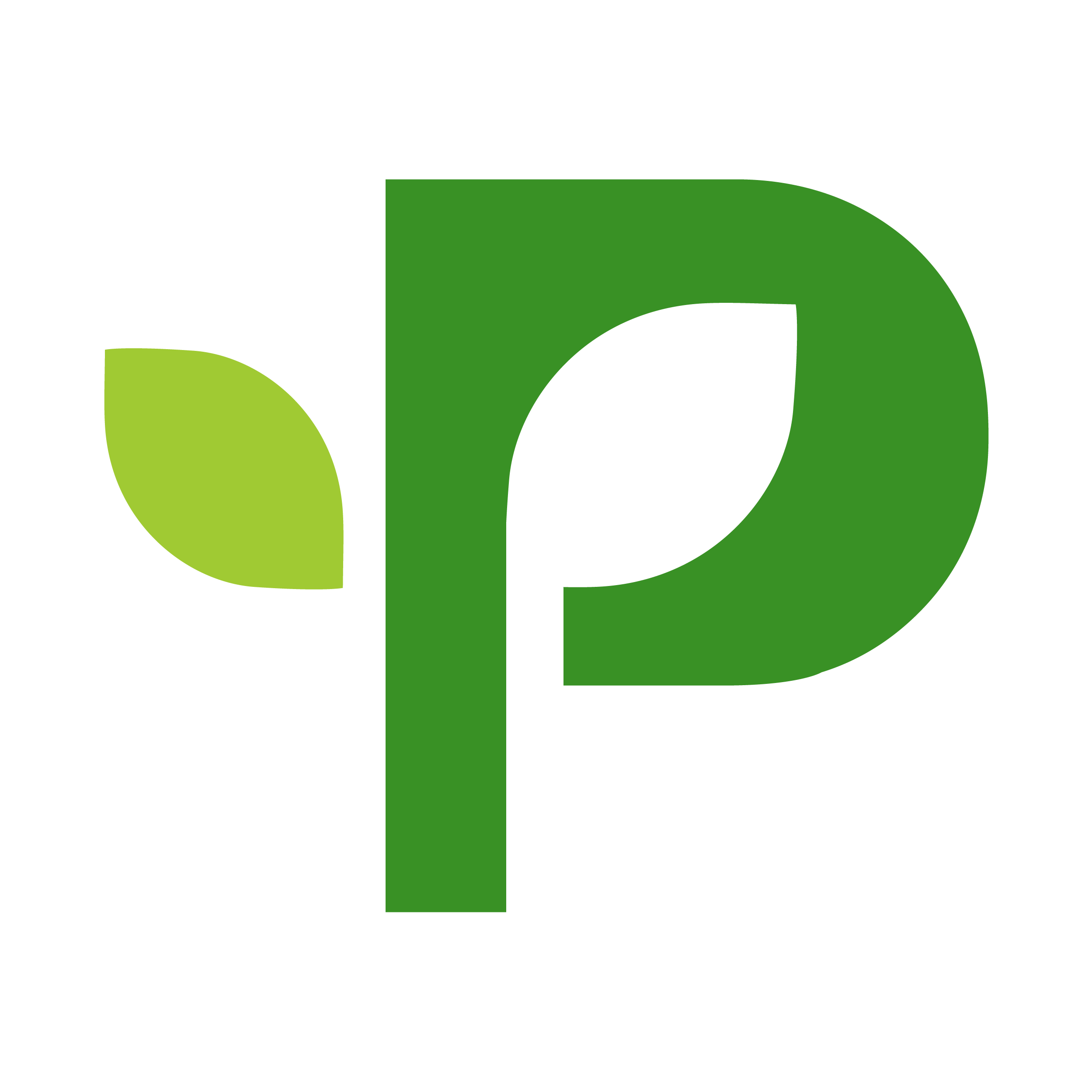 Paulownia In Vitro Europe | Clonal Forestry Plants